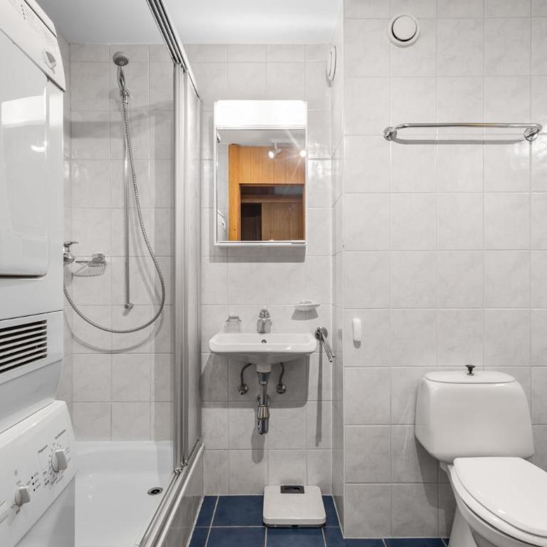 Gemeaux 205 sur la place du Village a Anzere avec vue sur les Alpes - Apartment - 29