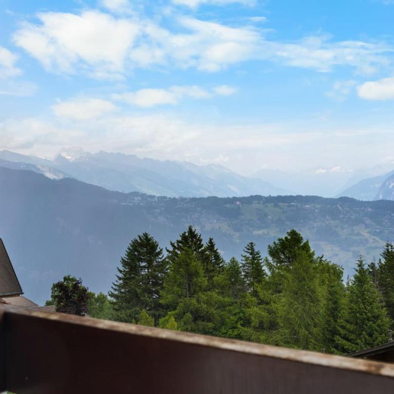 Gemeaux 205 sur la place du Village a Anzere avec vue sur les Alpes - Apartment - 31