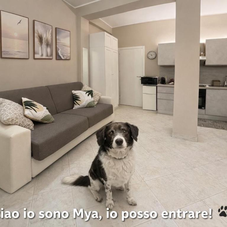 CASA MYA - Appartamento con 1 Camera da Letto - 4