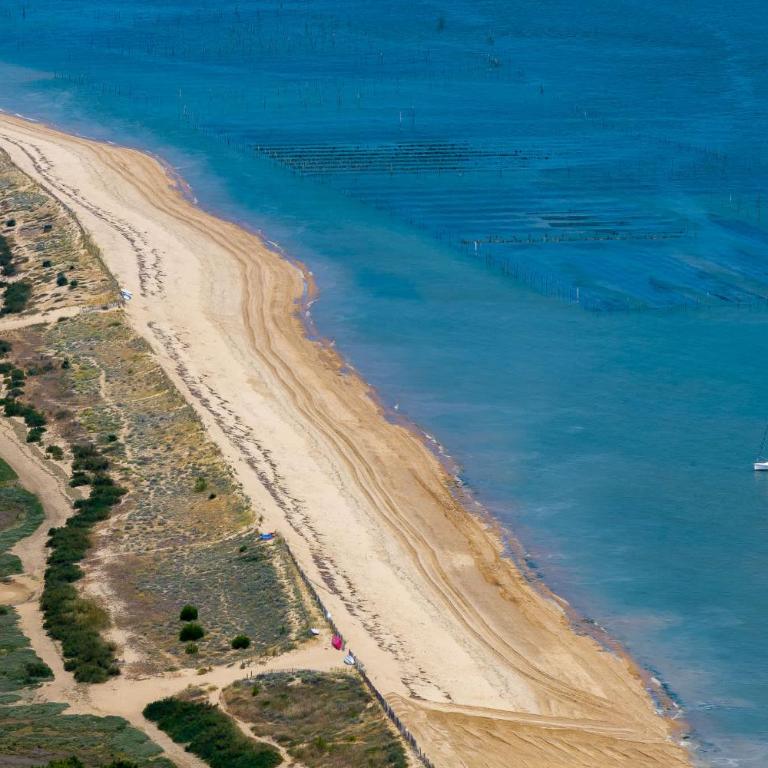 Villa Cap a L'ouest 44H 50 m de la plage - Villa - 39