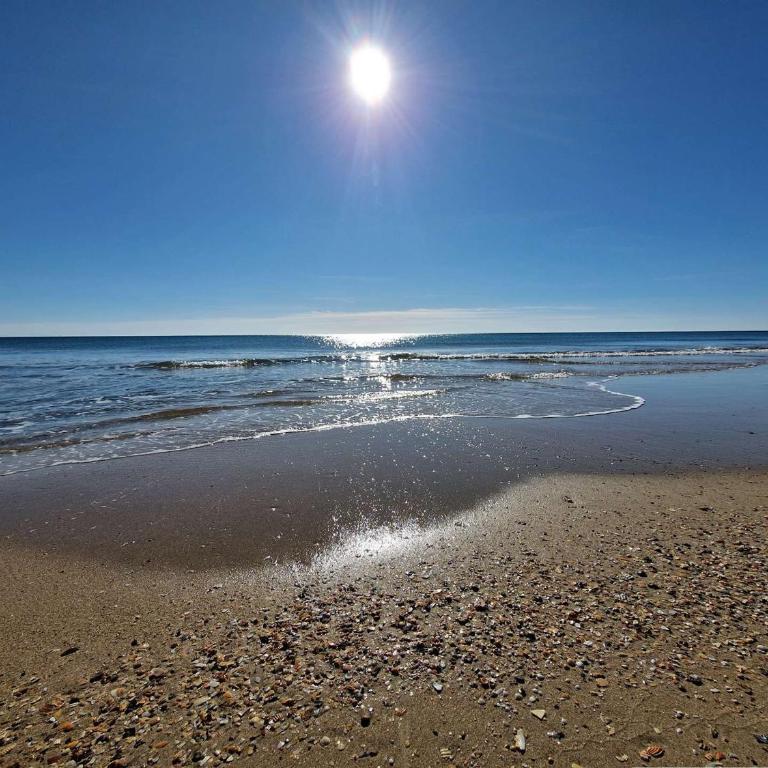 Appartement bord de mer avec terrasse, parking, animaux acceptés - FR-1-387-215 - Appartement - 14