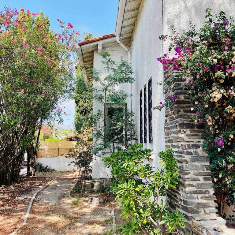 Villa les Pins - Six-Bedroom House - 6