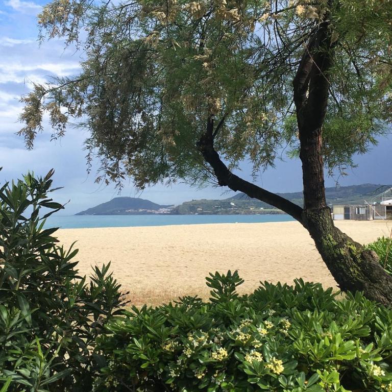 Villa les Pins - Six-Bedroom House - 21