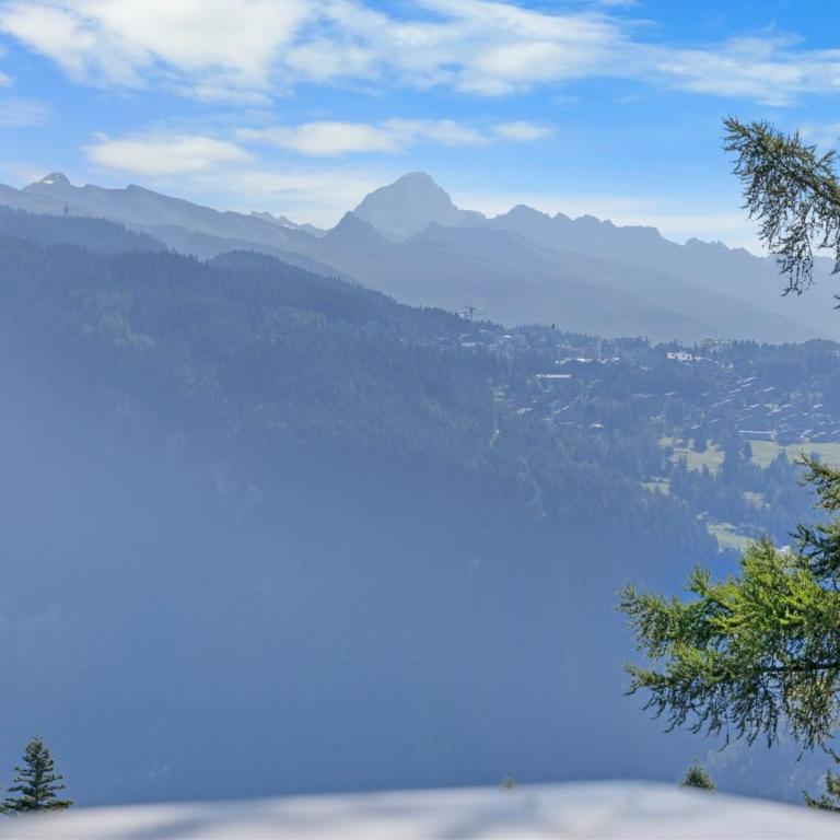 Chalet Annapurna a Anzere - Chalet - 16