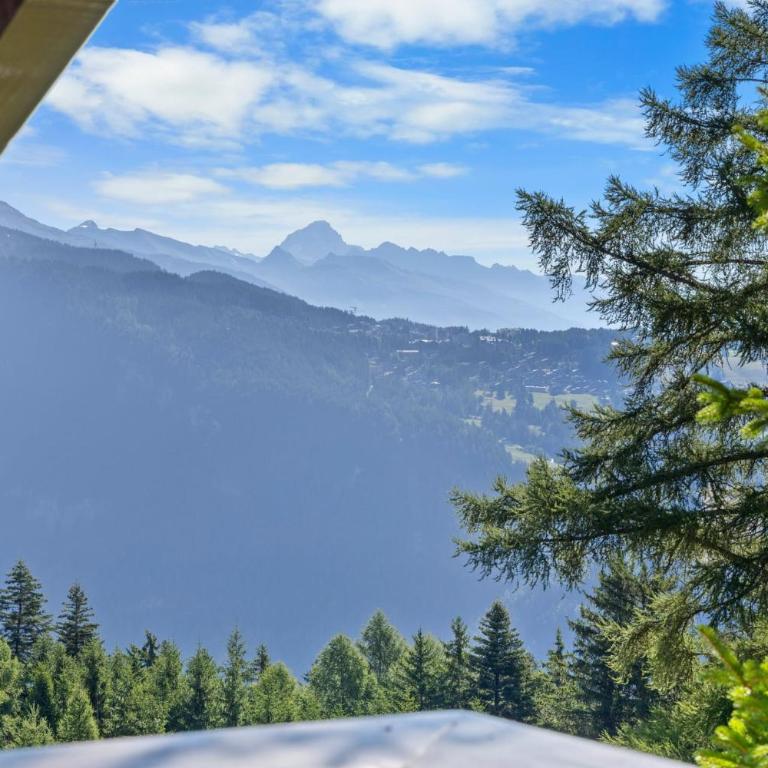 Chalet Annapurna a Anzere - Chalet - 28