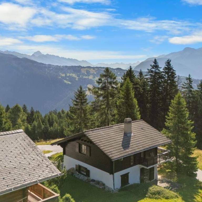 Chalet Annapurna a Anzere - Chalet - 29