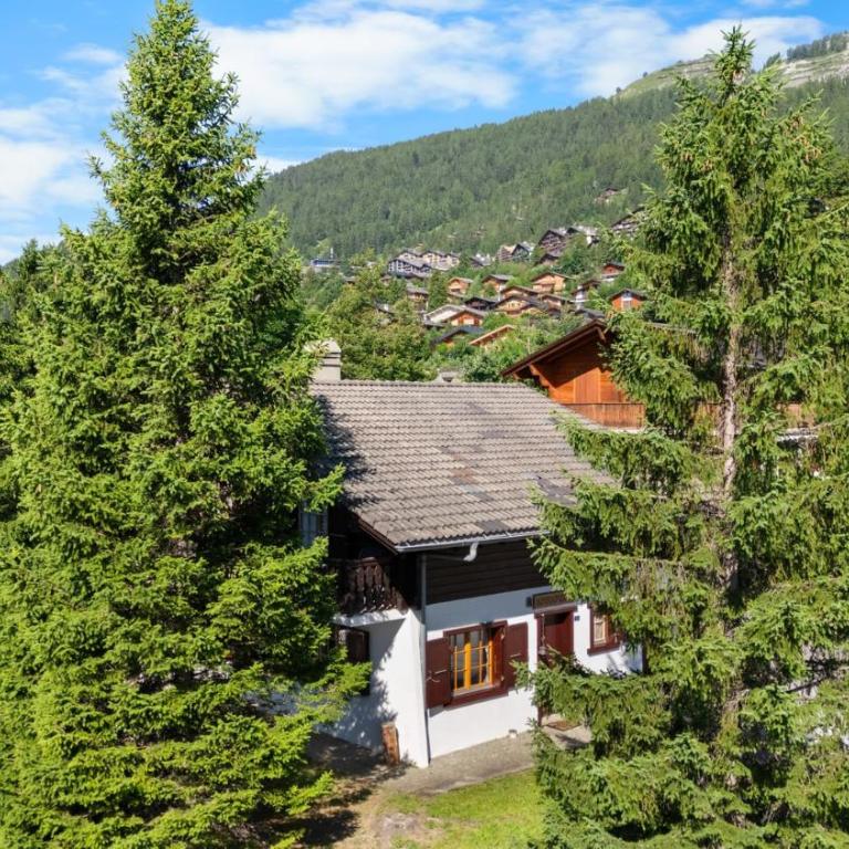Chalet Annapurna a Anzere - Chalet - 42