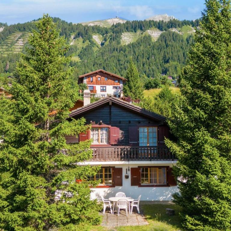 Chalet Annapurna a Anzere - Chalet - 45