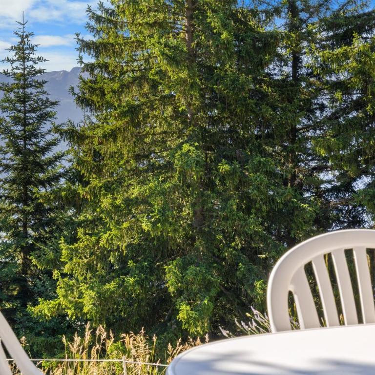 Chalet Annapurna a Anzere - Chalet - 47