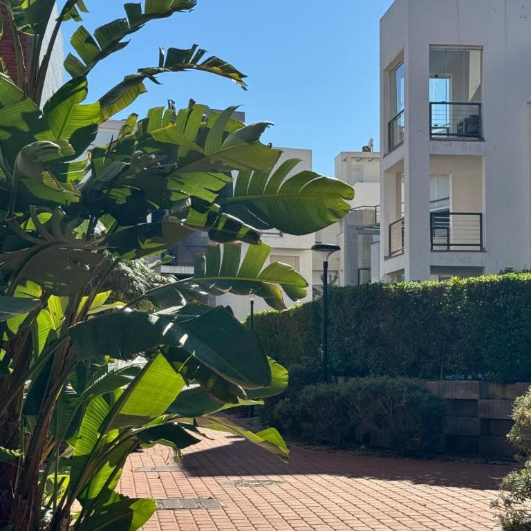 Apartamento Junto al Mar Baria 2 - Apartamento de 1 dormitorio - 45