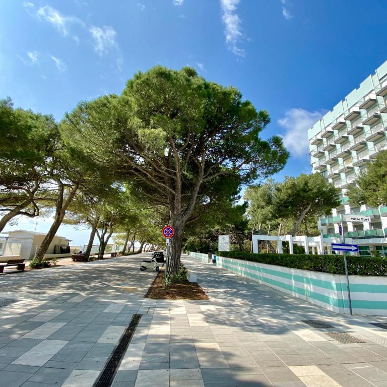 International - Appartamento Monolocale con Vista Mare - 2