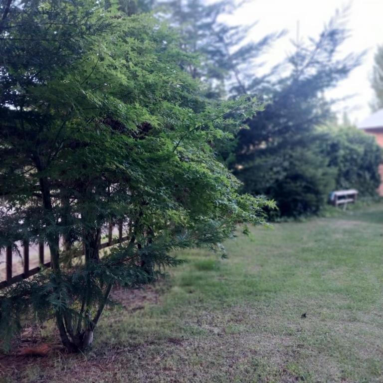 Vientos del Lago - Tu refugio en la Patagonia - Apartment - 21