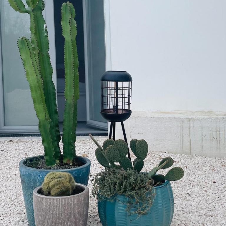 Villa Apollonia - Casa Vacanze con 3 Camere da Letto - 64