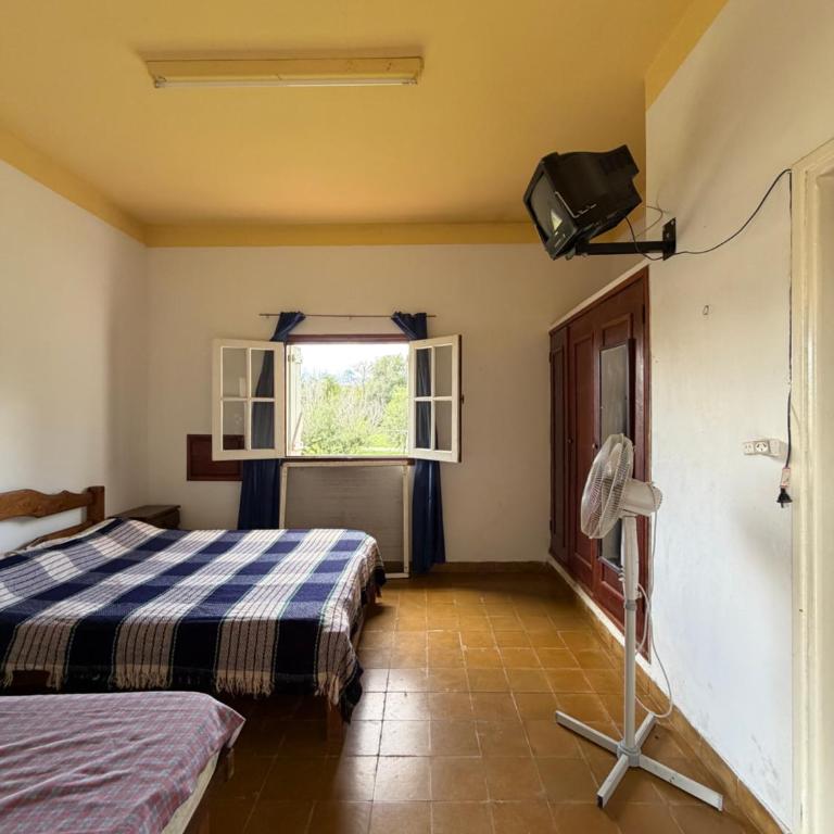 Habitación con baño privado con cocina separada - One-Bedroom Apartment - 3