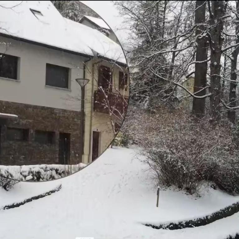 Chalet du Parc - Chalet 3 Chambres - 17