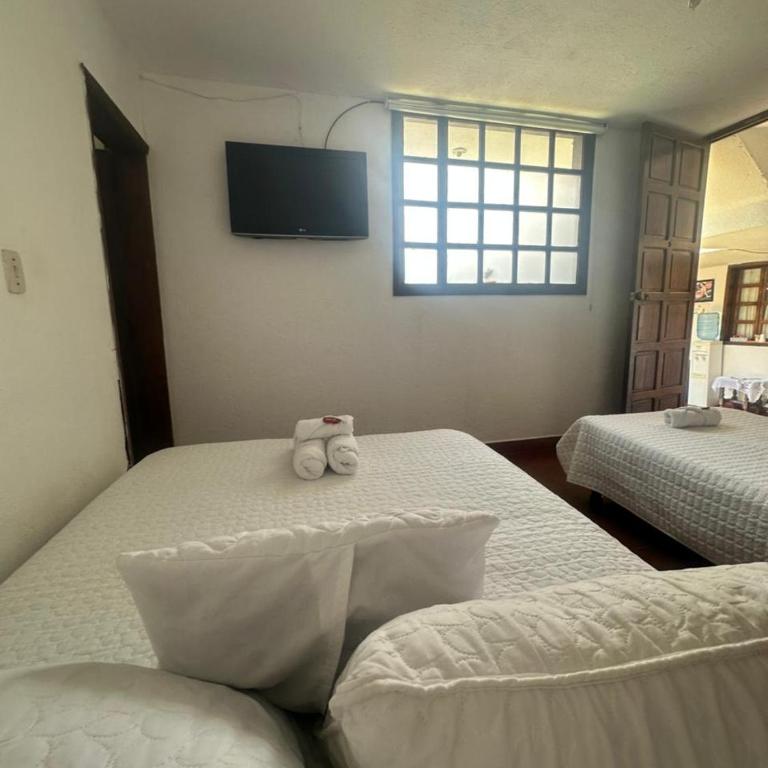 Casa Naturhola - Triple Room with Private Bathroom - 12
