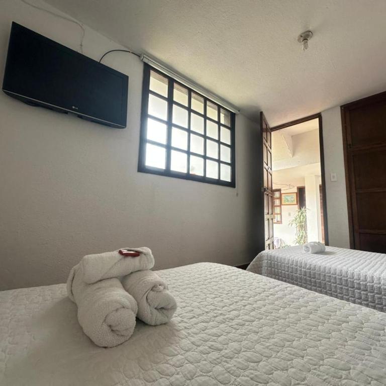 Casa Naturhola - Triple Room with Private Bathroom - 8