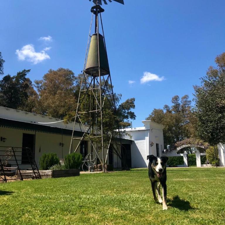 Casa de campo, ideal para grupos hasta 12 - Standard Villa - 29