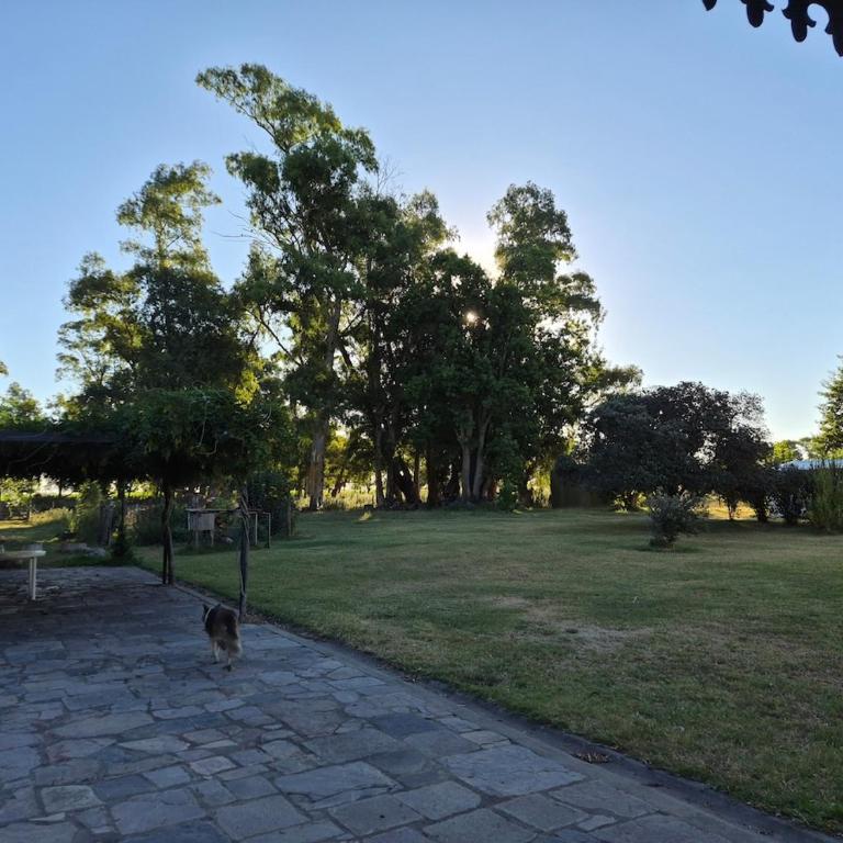 Casa de campo, ideal para grupos hasta 12 - Standard Villa - 33