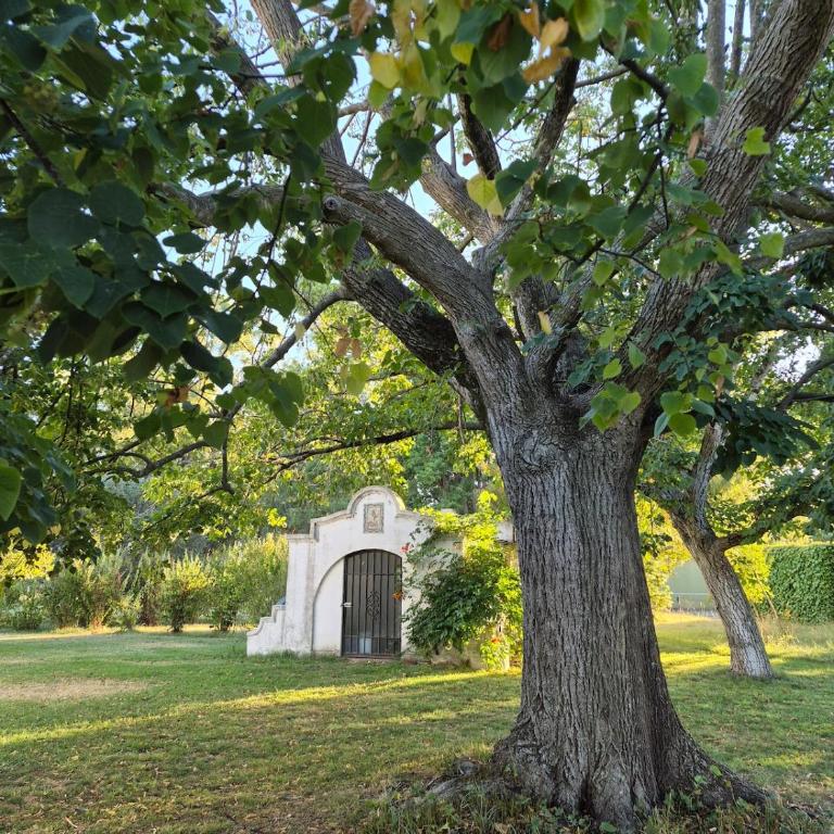 Casa de campo, ideal para grupos hasta 12 - Standard Villa - 59