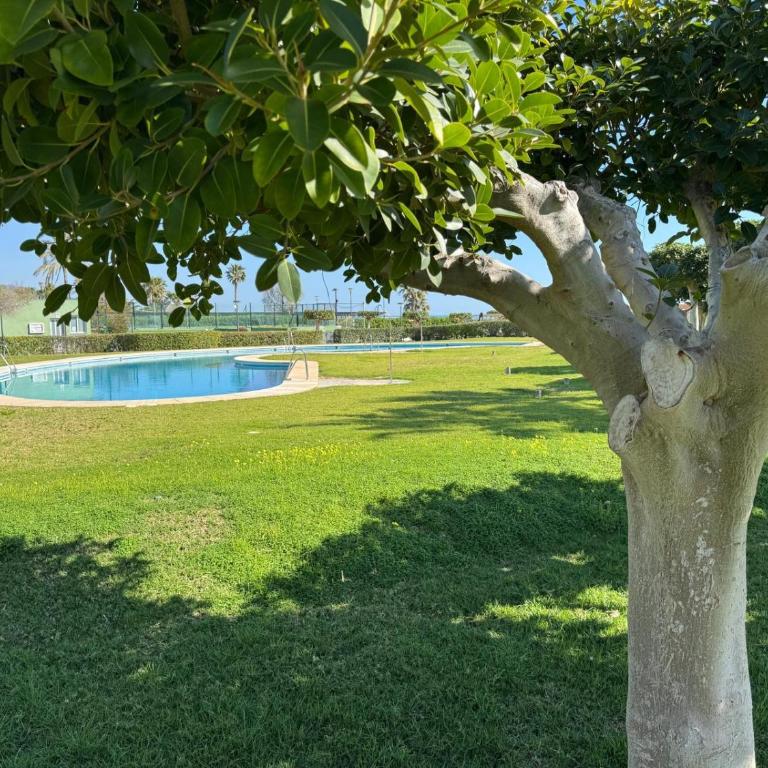 Apartamento Junto al Mar Baria 2 - Apartamento de 1 dormitorio - 56
