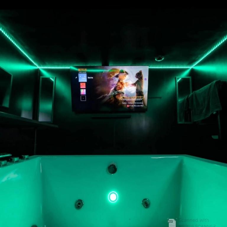 salle de cinéma et jaccuzi - Villa 1 Chambre - 26