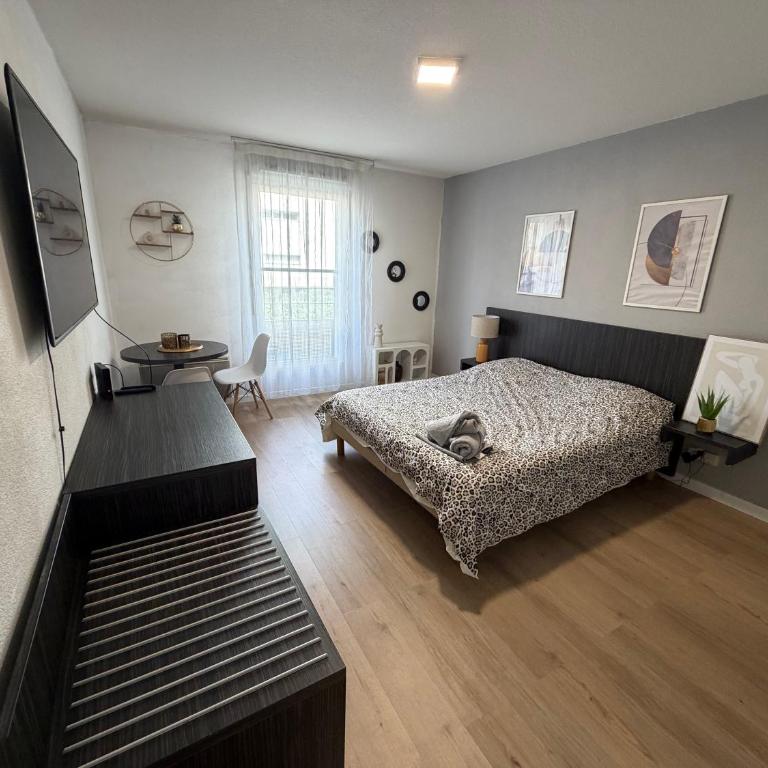 Aismé - Appartement 1 Chambre - 2