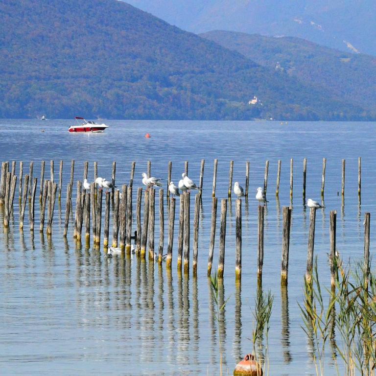 Maison proche du lac avec Jacuzzi et Sauna - Maison 5 Chambres - 43