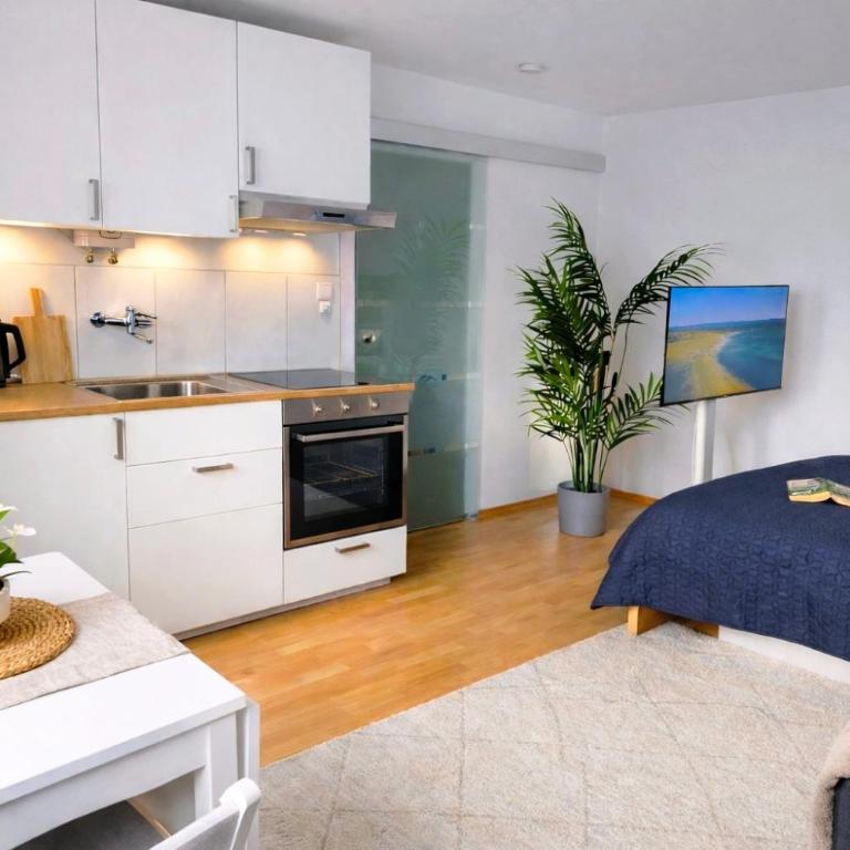 Quiet & Modern Studio near Tram & River Lech - Apartment mit 1 Schlafzimmer - 1