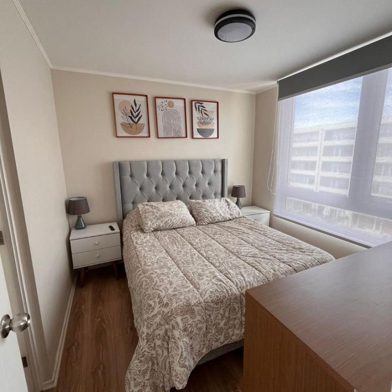 Lindo Brisas - One-Bedroom Apartment - 3