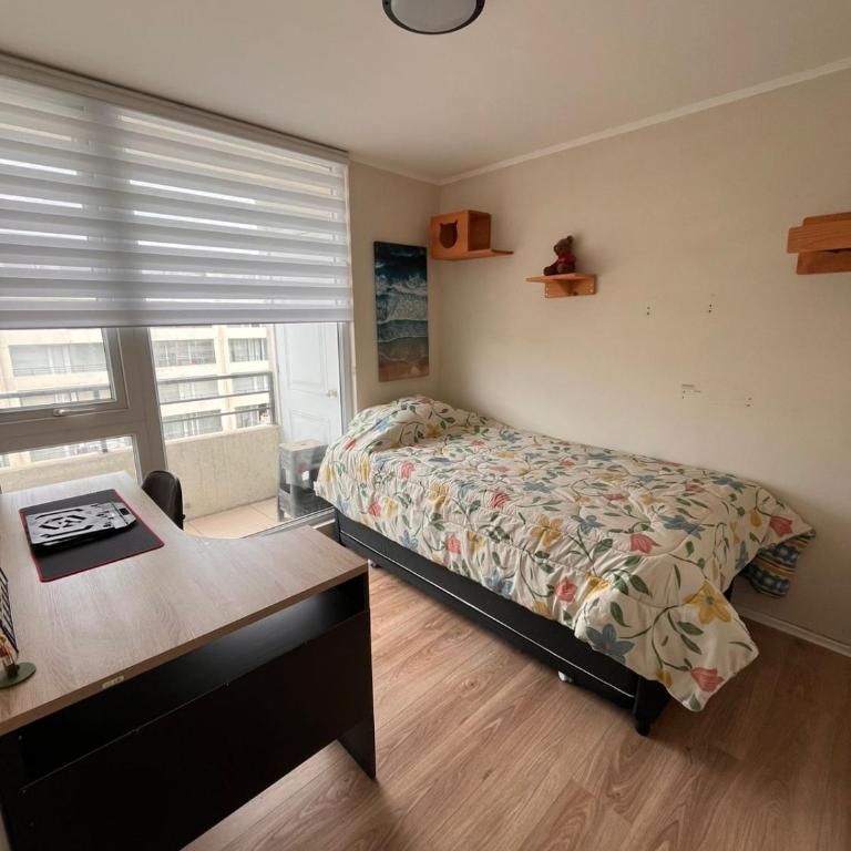 Lindo Brisas - One-Bedroom Apartment - 6