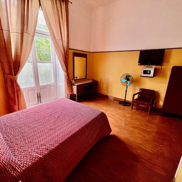 Hotel Isabel - Habitación Estándar - 1 cama grande - 1