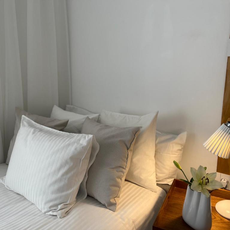 Modern studio, near shopping mall Stadion - Deluks Dvokrevetna Soba sa Bračnim Krevetom - 4