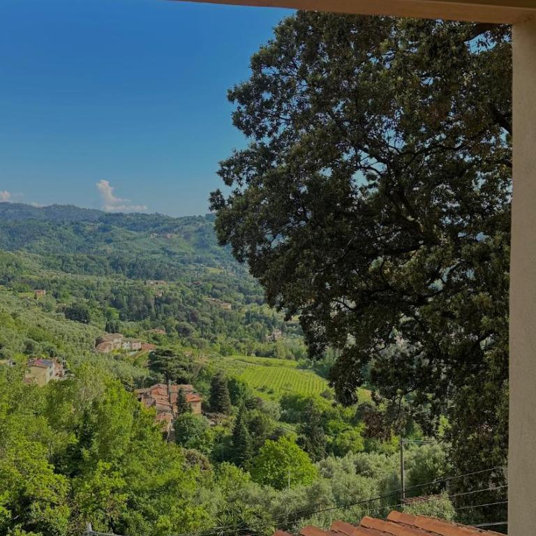 Infinity house colline Camaiore - Villa con Vista Giardino - 17