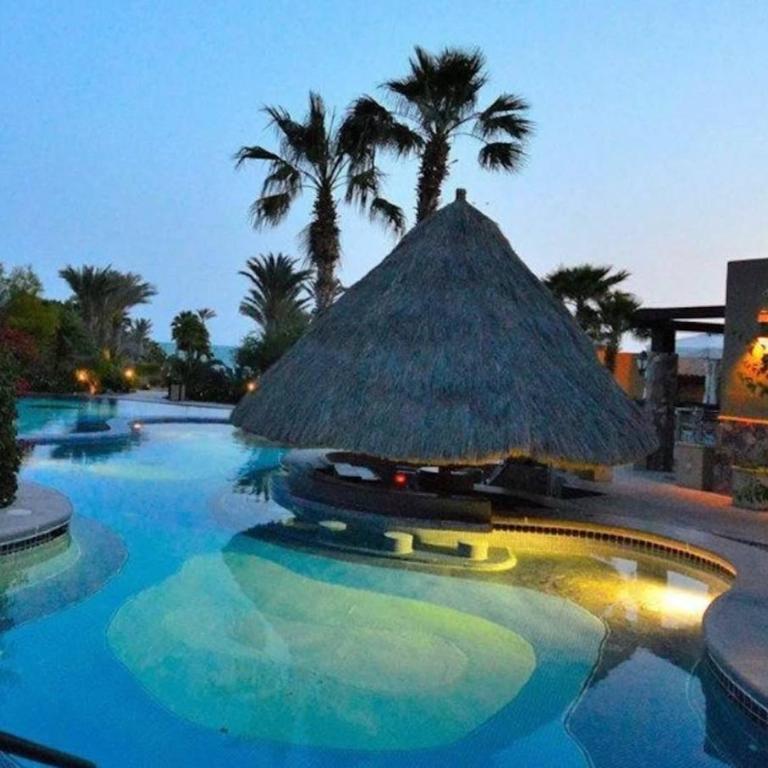 Bella Sirena Beachfront Resort Condo D603 - Apartamento - 3