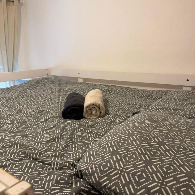 Appartement T2 calme au cœur de Lille Wazemmes - Appartement 2 Chambres - 12