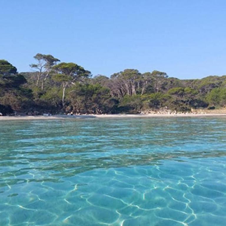 Résidence avec piscine près de la mer à la LONDE - Apartamento de 1 dormitorio - 1