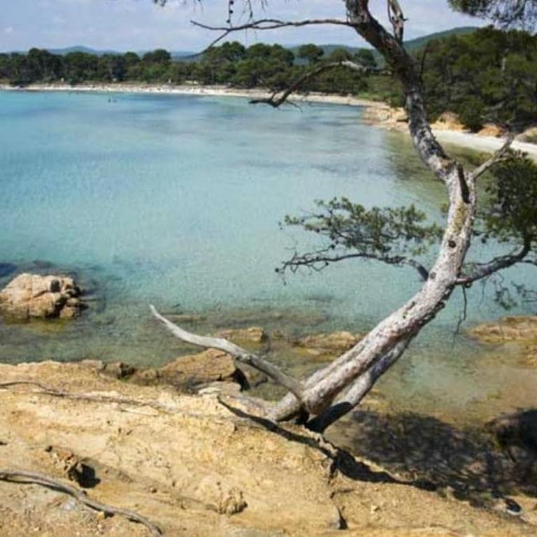 Résidence avec piscine près de la mer à la LONDE - Apartamento de 1 dormitorio - 23
