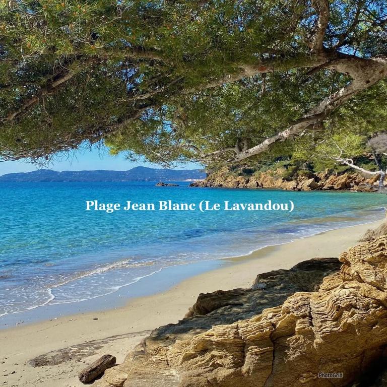 Résidence avec piscine près de la mer à la LONDE - Apartamento de 1 dormitorio - 12