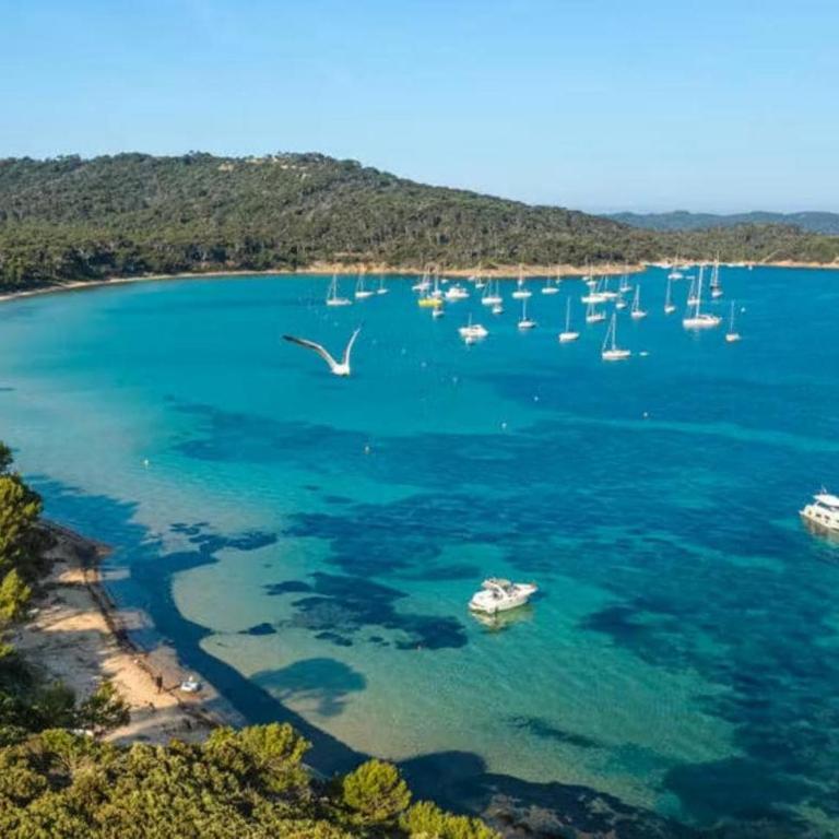 Résidence avec piscine près de la mer à la LONDE - Apartamento de 1 dormitorio - 32