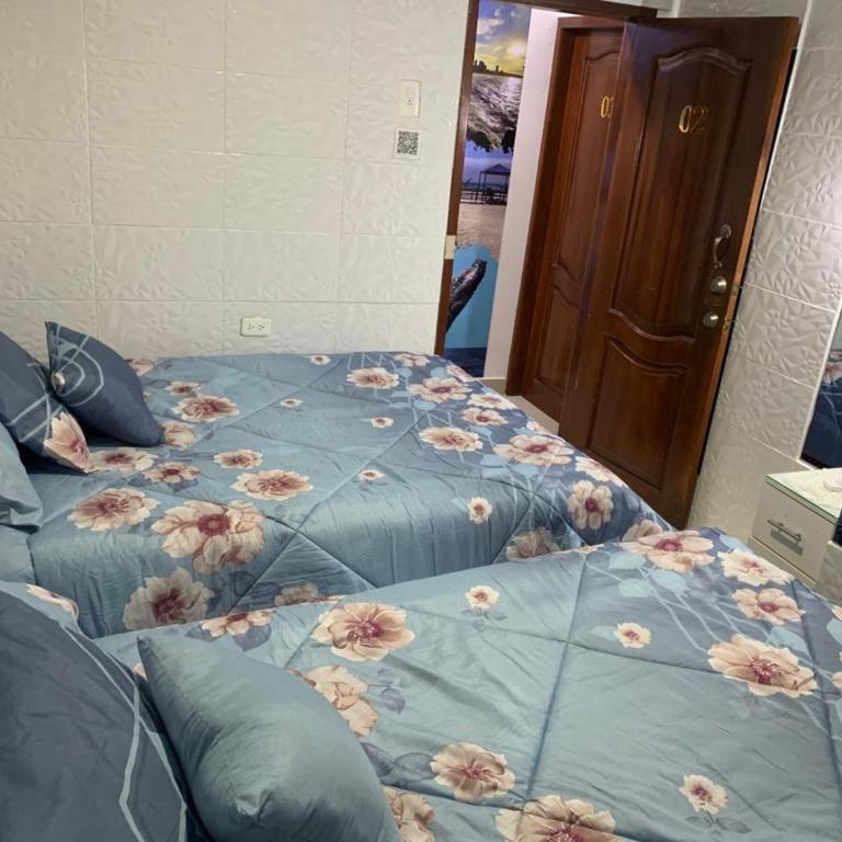 Hospedaje Antonela - Twin Room with View - 1