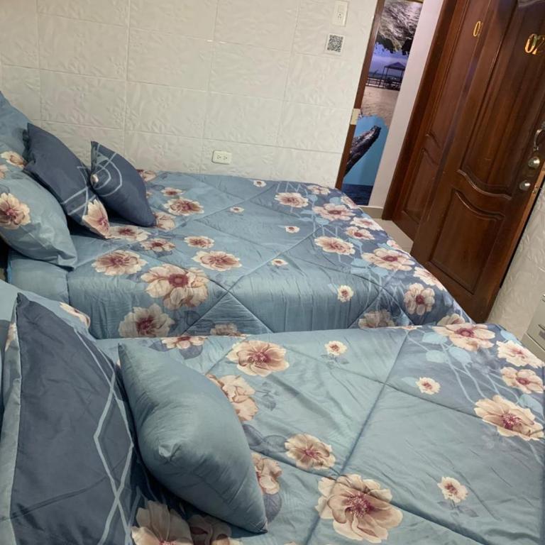 Hospedaje Antonela - Twin Room with View - 2