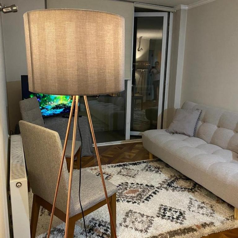 Departamentos diario Alojamiento Osorno GUESTHOUSE LOS LAGOS SPA - One-Bedroom Apartment - 3