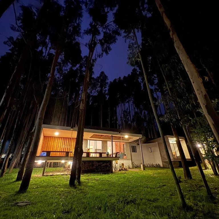 ENTRE BOSQUES - Eucalyptus Forest Villa - Three-Bedroom Villa - 8