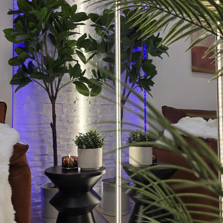 Cocon romantique & sérénité à 8min de la Tour Eiffel - Studio - 17