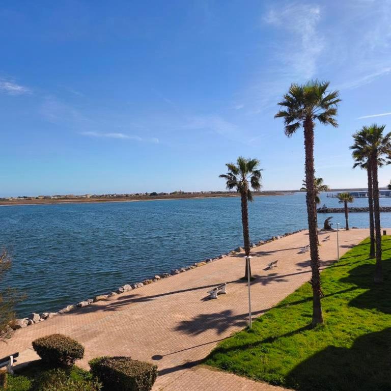 Appartement T2 Confortable, 4/5 Pers, Plage Grazel, Parking Privé - FR-1-796-86 - Appartement - 6