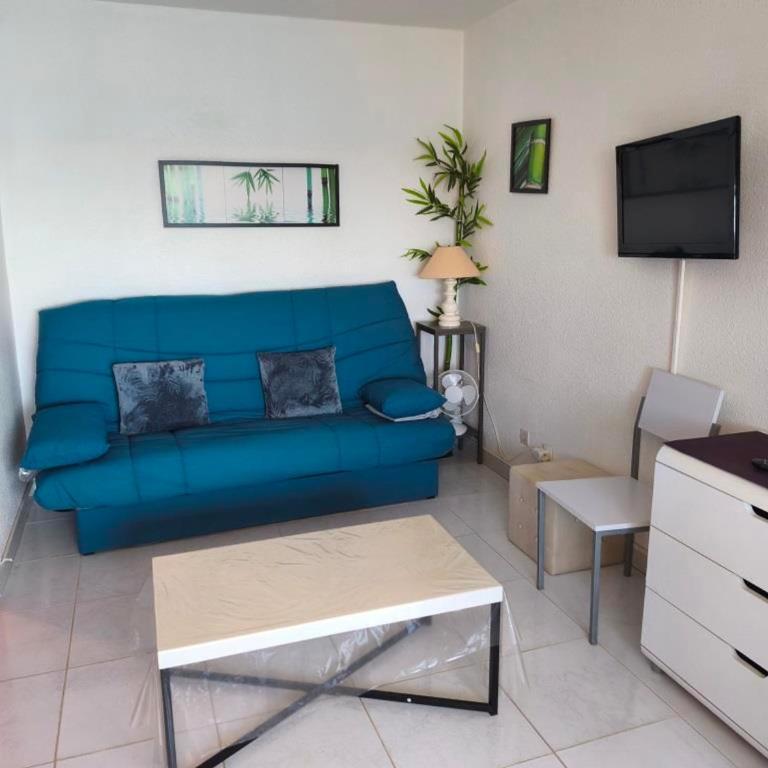 Appartement T2 Confortable, 4/5 Pers, Plage Grazel, Parking Privé - FR-1-796-86 - Appartement - 8