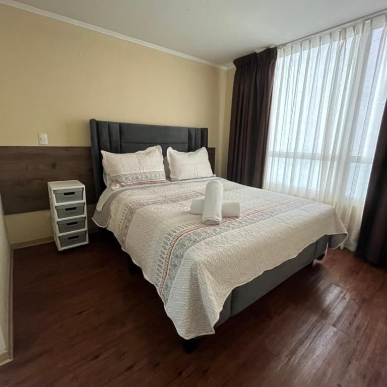 Departamentos lupi - One-Bedroom Apartment - 5