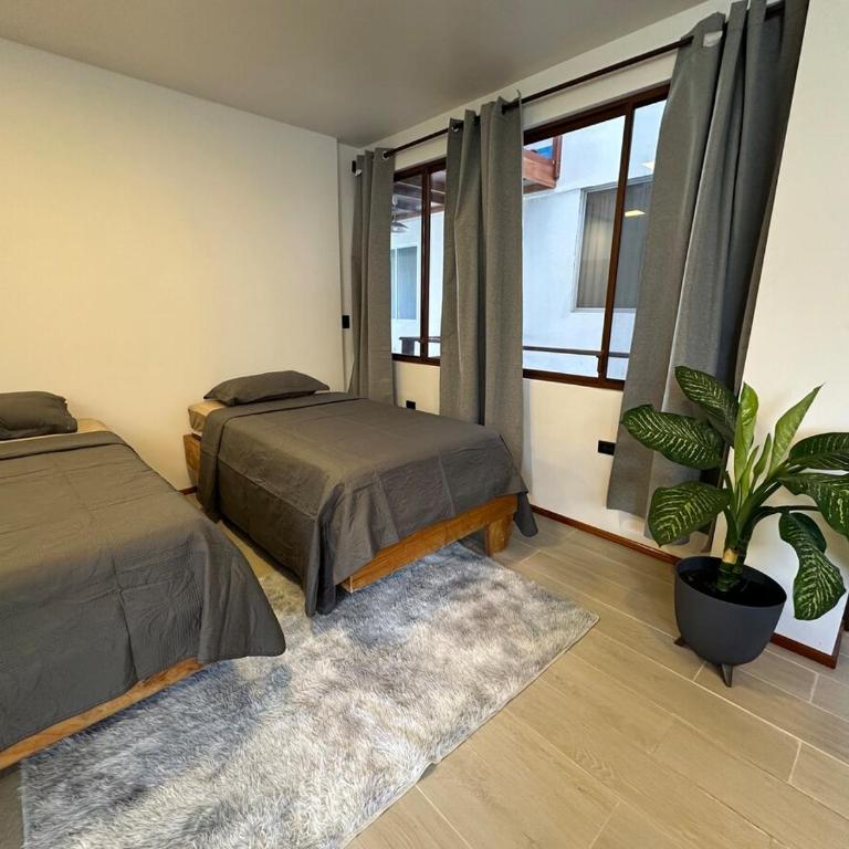 Beautiful oceanfront suite - One-Bedroom Apartment - 5