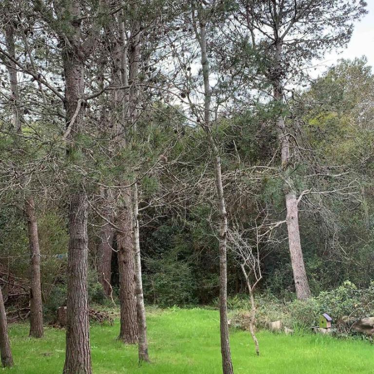 Casa relax-cerro del burro- Playa Hermosa - Two-Bedroom Chalet - 32